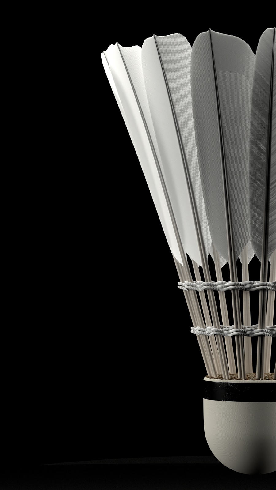 场再度热闹 场再度热闹